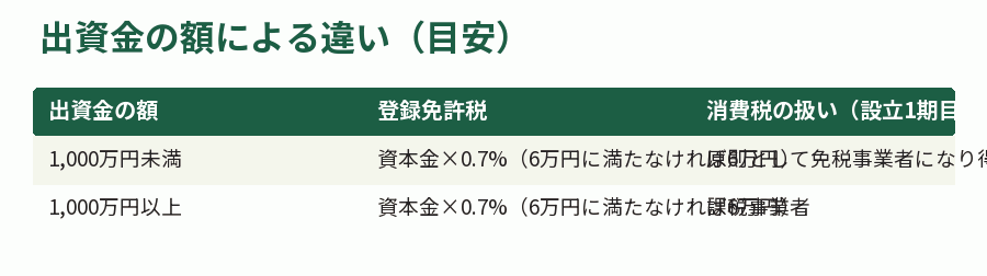 出資金の額による違い（目安）