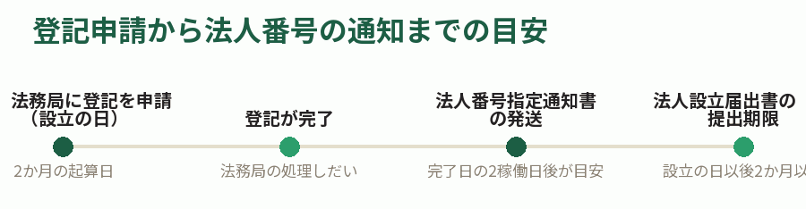 登記申請から法人番号の通知までの目安